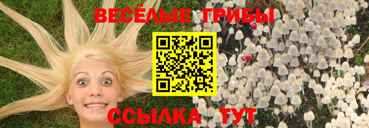 закладки  Галлюциногенные грибы прущие грибы  Вход с VPN  Глазов 